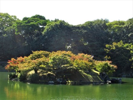 10月25日 紅葉の状況