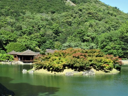 10月25日 紅葉の状況