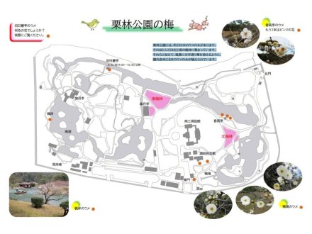 「栗林公園の梅」探索マップについて