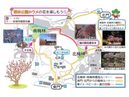 栗林公園のウメの花を楽しもう！！