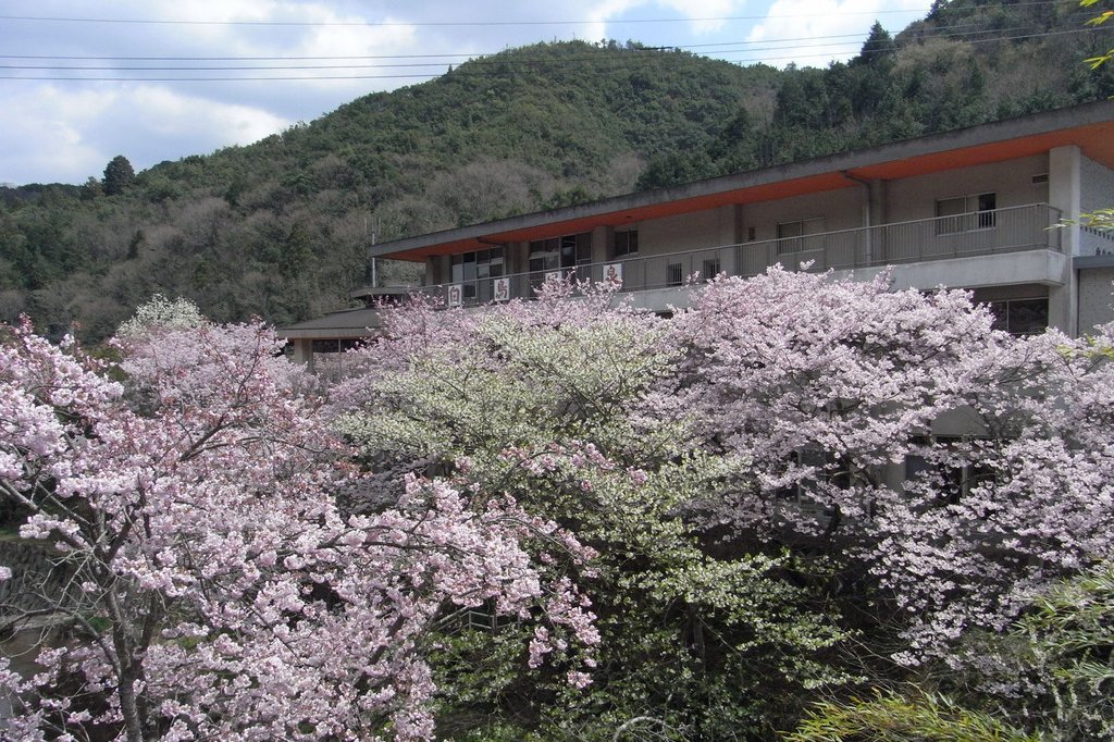 白鳥温泉 スポット 体験 香川県観光協会公式サイト うどん県旅ネット