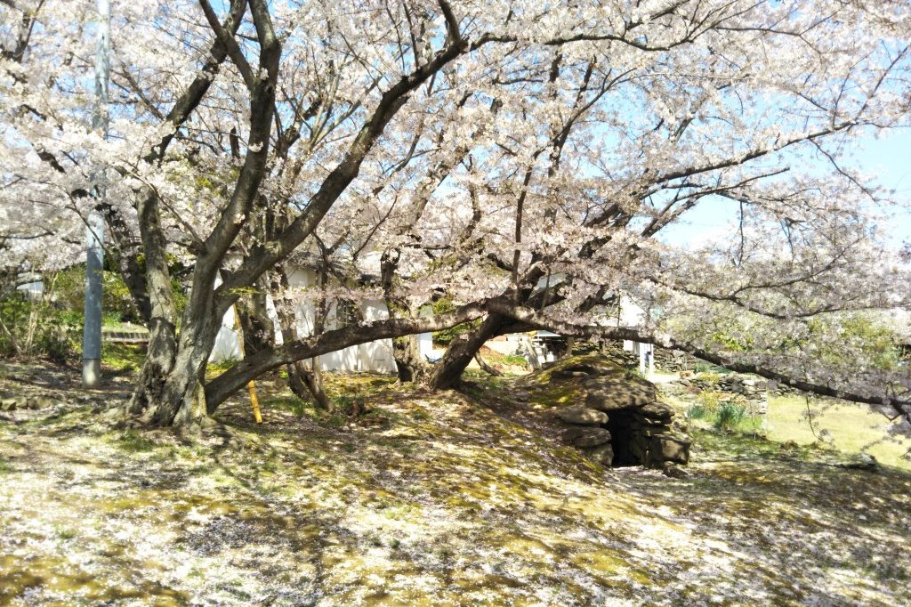 春の石清尾山古墳群ツアー～峰山編～