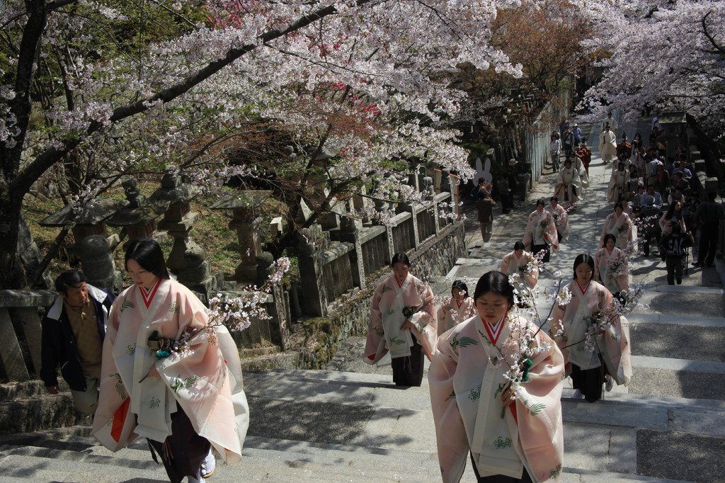 桜花祭