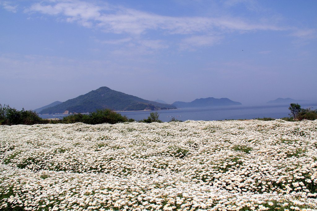 フラワーパーク浦島 スポット 体験 香川県観光協会公式サイト うどん県旅ネット