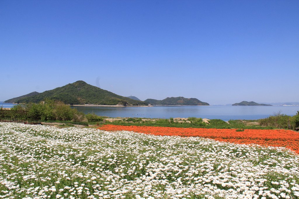 フラワーパーク浦島 スポット 体験 香川県観光協会公式サイト うどん県旅ネット