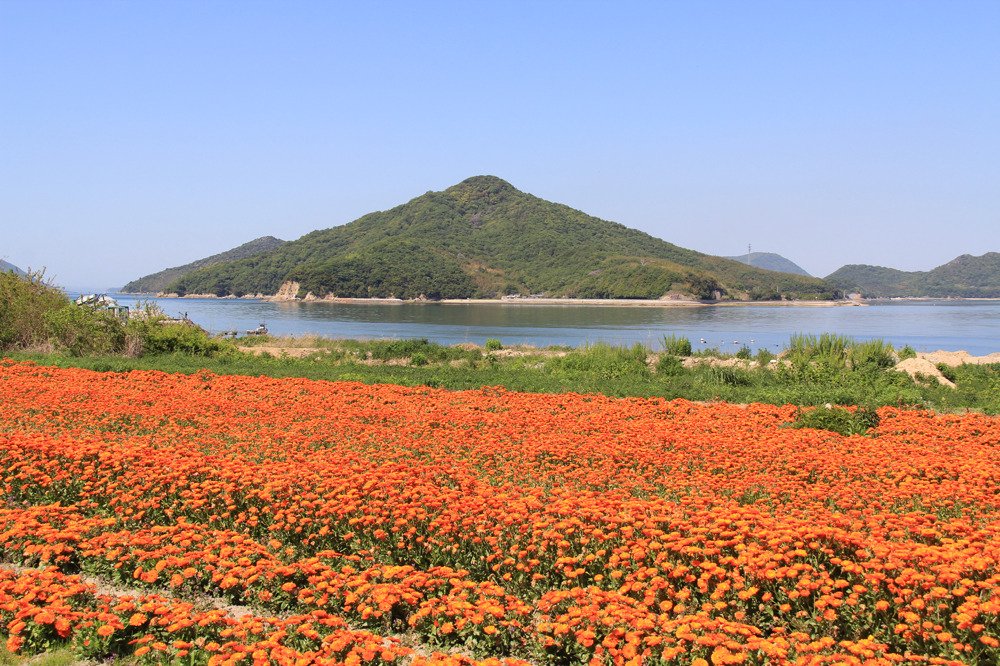 フラワーパーク浦島 スポット 体験 香川県観光協会公式サイト うどん県旅ネット