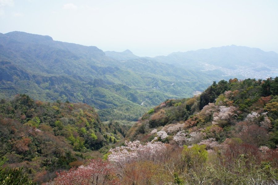 美しの原高原　四方指展望台