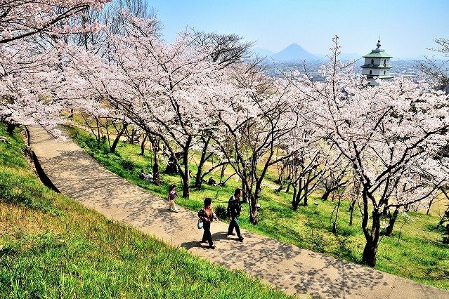 桃陵公園