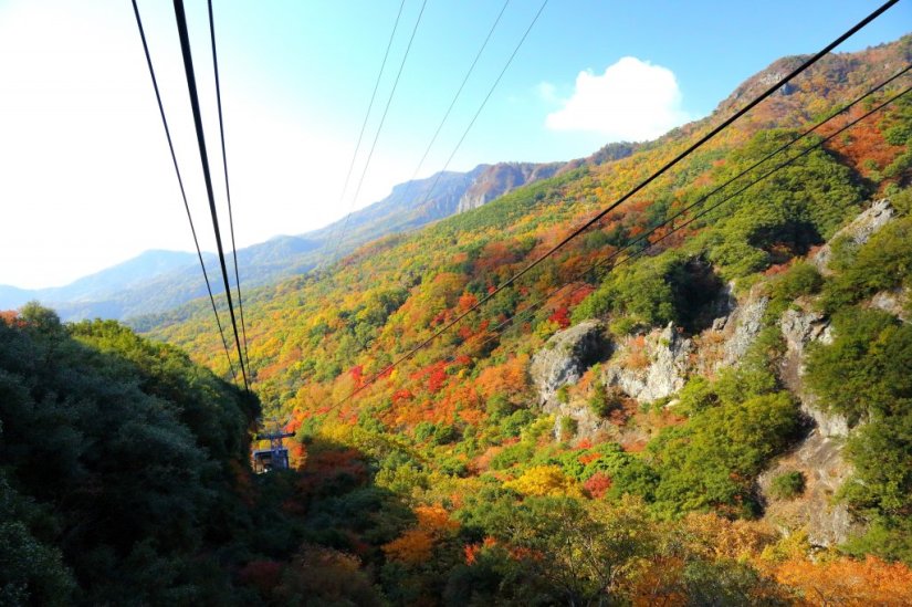 ロープウェイから見る紅葉はまさに絶景！