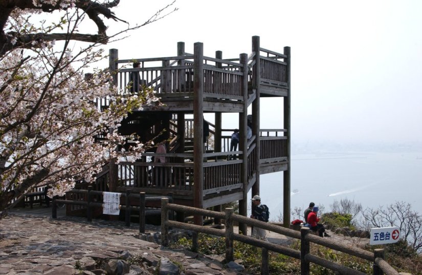 春は桜も美しい