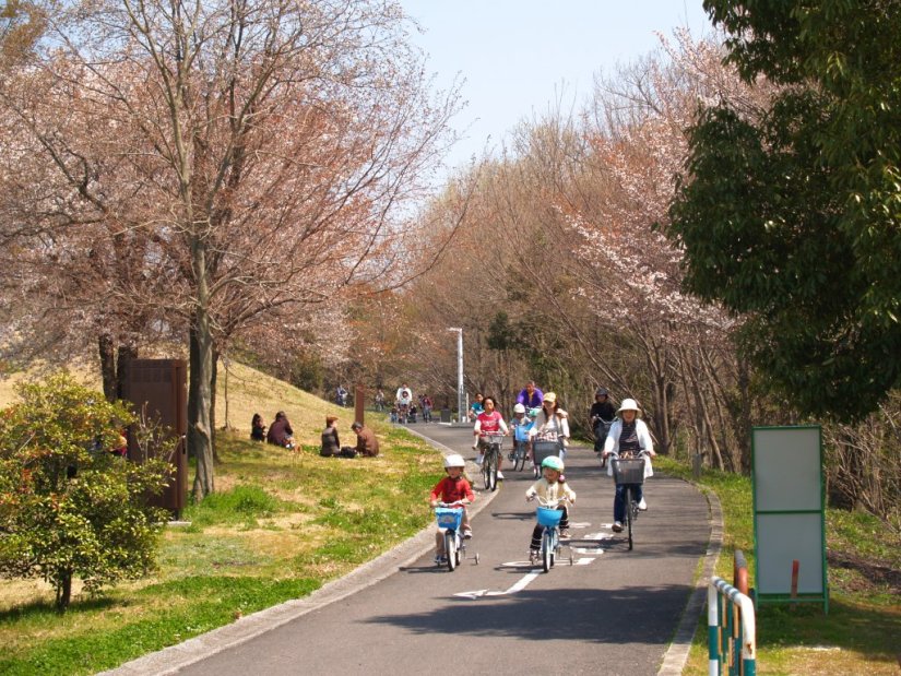 春は桜並木の下を走ろう