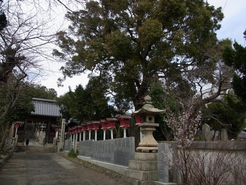 緑豊かな参道