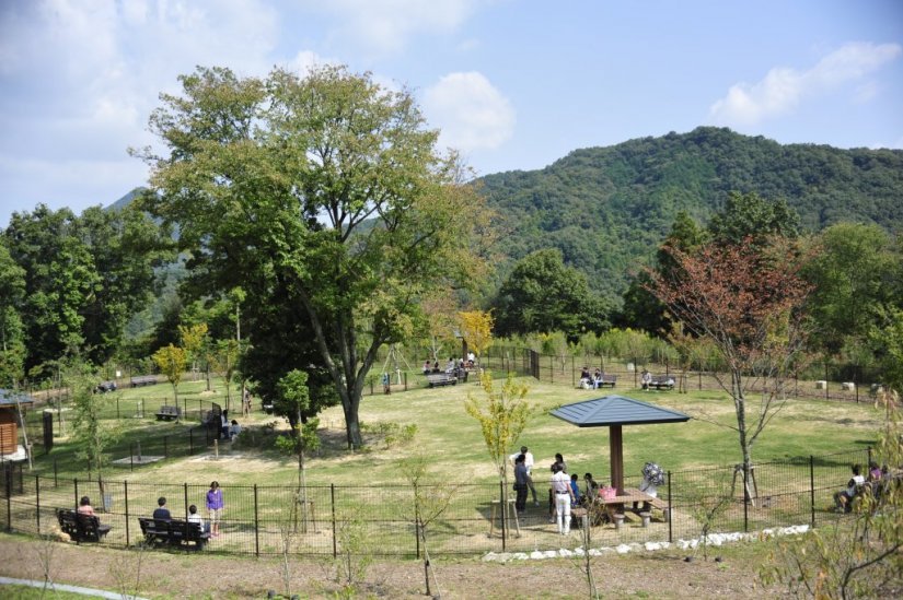 ペットと一緒にめぐるうどん県 ペットと一緒にめぐるうどん県 特集 香川県観光協会公式サイト うどん県旅ネット