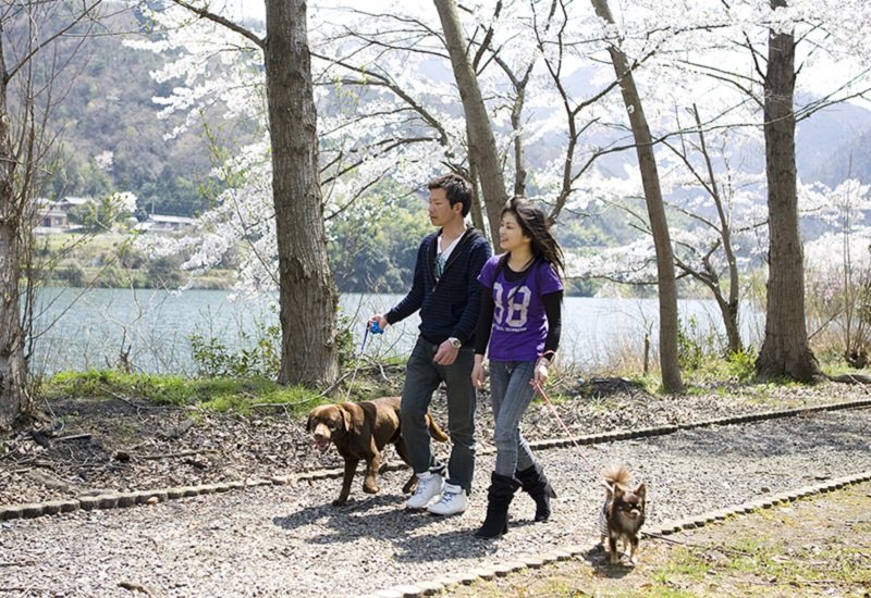 ペットと泊まれる宿泊施設 ペットと一緒にめぐるうどん県 特集 香川県観光協会公式サイト うどん県旅ネット