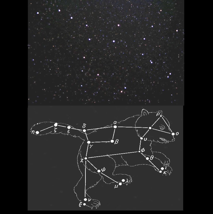 【おおぐま座】有名な北斗七星は、大熊の腰から尻尾にかけての部分になります。春に天高く上ったときの大熊は逆さまになっています。