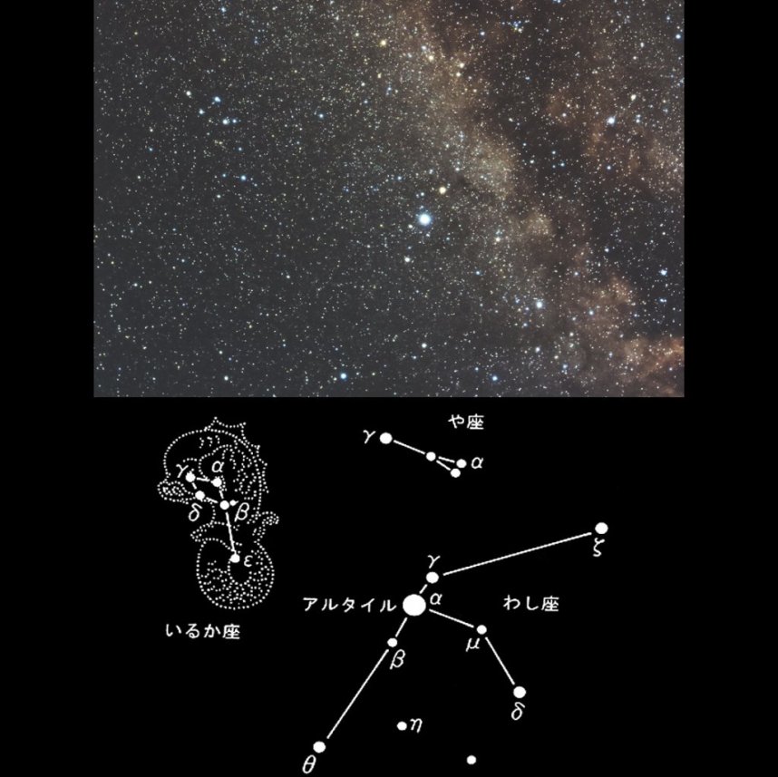 【いるか座】わし座のアルタイルの東で5～6個の星が描く菱形とその尾は、ジャンプするイルカを見事にイメージさせてくれます。