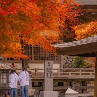 雲辺寺