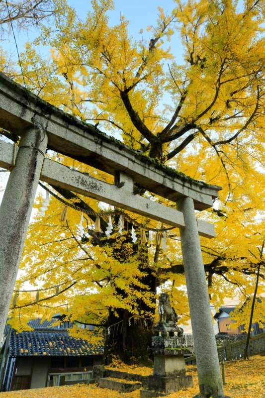 岩部八幡神社